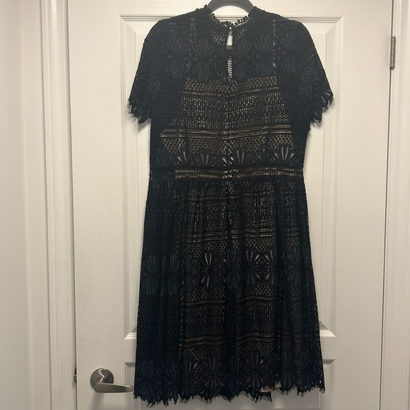 Piccadilly Lace dress - Picture 5 of 6